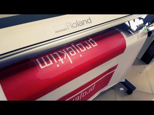 Printing & Cut  Roland