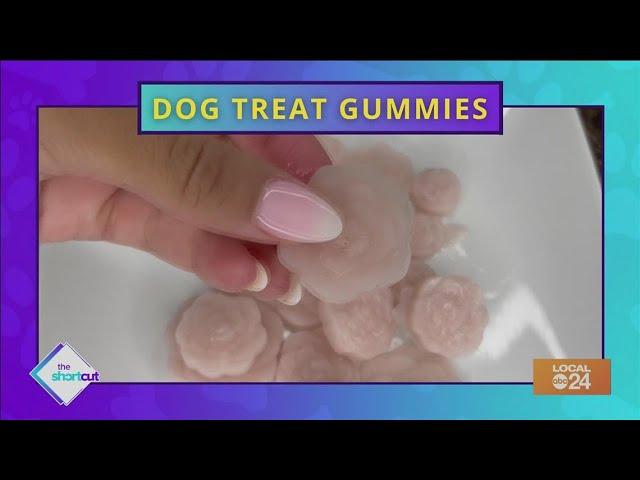 Easy fruit dog treat gummies recipe