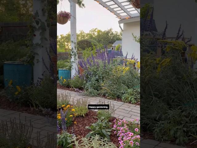Building a backyard pollinator oasis is easy with @MonroviaPlants - #Monroviaplants #garden #diy
