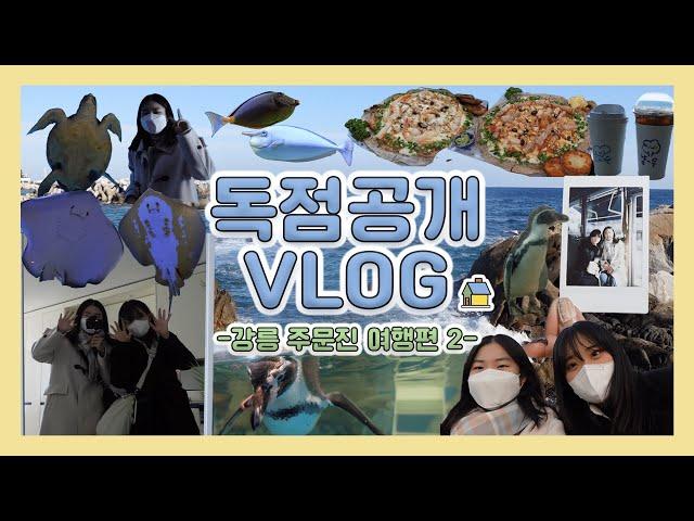 [독점공개 VLOG] 강릉•주문진 여행 두 번째 이야기! | 강릉 경포 아쿠아리움 | 강릉 숨은 맛집 | 강릉 바다뷰 카페️