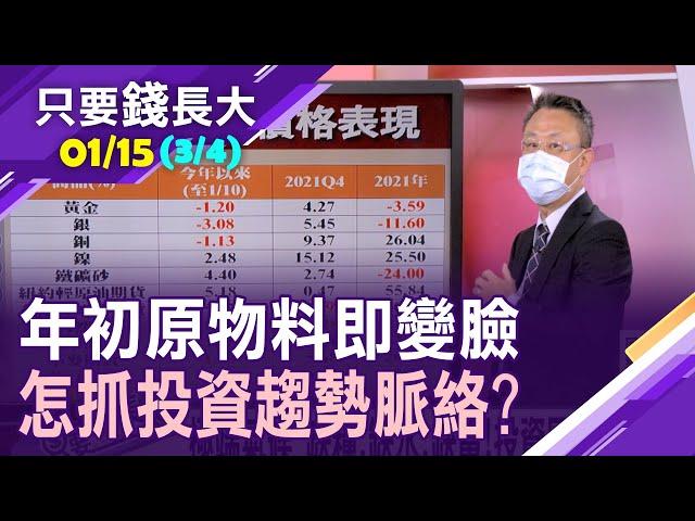 【利率vs原物料正相關?極端氣候+政治干預 2022投資脈絡?從泛資源基金績效找答案!】20220115(第3/4段)只要錢長大*鄭明娟(朱岳中)