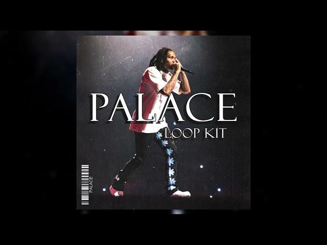 FREE Lil Durk Loop Kit - Palace (Lil Durk, Lil Baby, 4PF, Dark, Future, Melodic Loop Kit 2024)