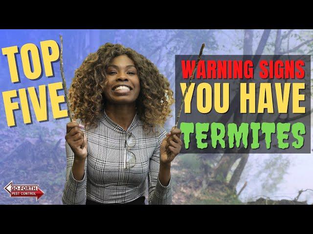 Top 5 Warning Signs You Might Have Termites! // Pest Control