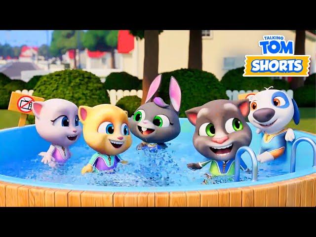 Talking Tom ️ HELLO SUMMER  2 HOUR PACK  Cartoon for kids Kedoo Toons TV