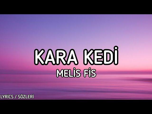 Melis Fis - Kara Kedi [Lyrics / Sözleri]