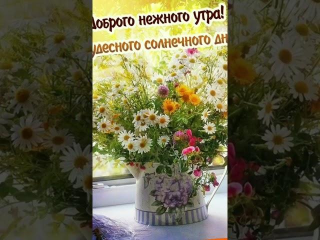 |С ДОБРЫМ УТРОМ |Утро начинается не только с кофе|