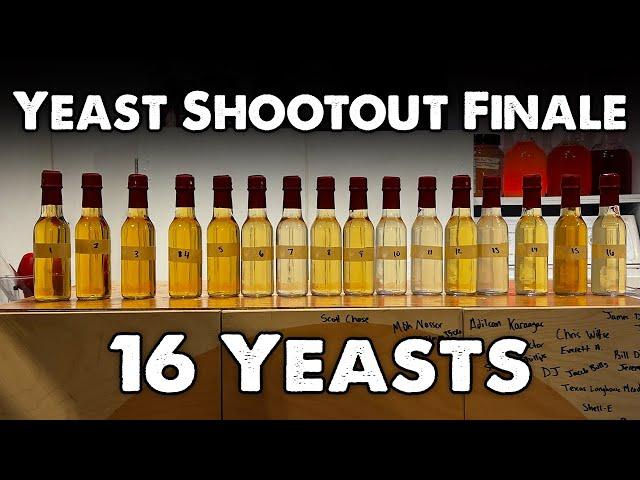 Yeast Shootout Finale: All 16 Yeasts vs 1 Mead Recipe