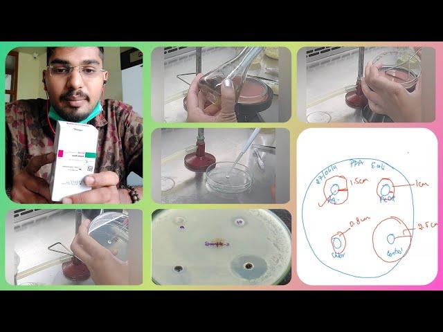 Antimicrobial activity of Plants/Clearing zone/Disc and well method/Medicinal plants/Microbiology