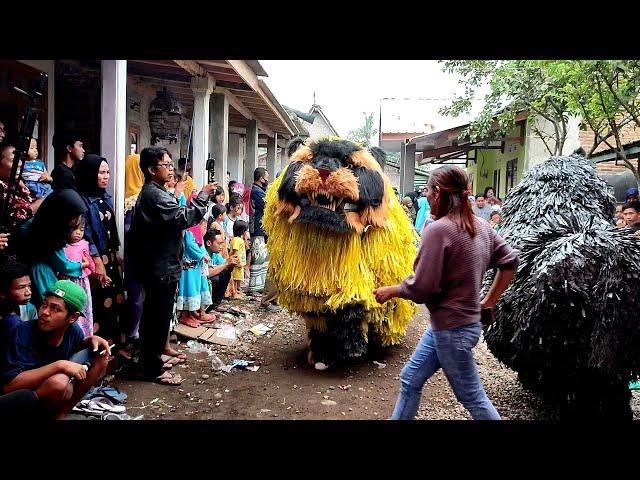 CANMACANAN BESAR New Maong REMAS 2022 tampil di Grujugan | lion dance of java