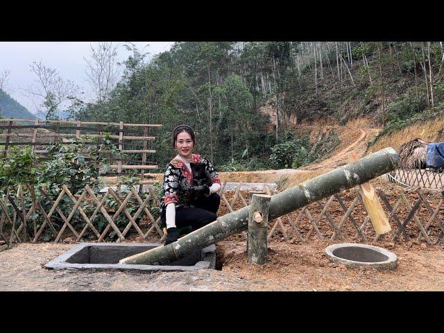 The process of making mills, expanding the arable land, King kong amazon, Ep 322