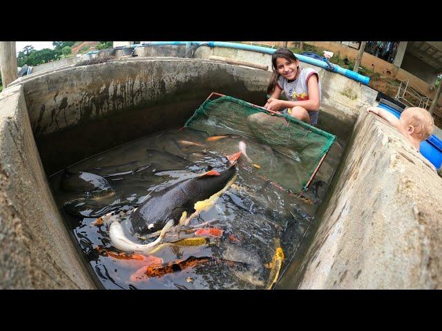 INACREDITÁVEL OLHA ISSO ! -  é muito peixe .