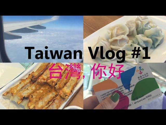 (中字) [대만VLOG] #1 대만여행 다녀왔어요!  台灣, 你好  (팔방운집 만두 먹방) l LISA