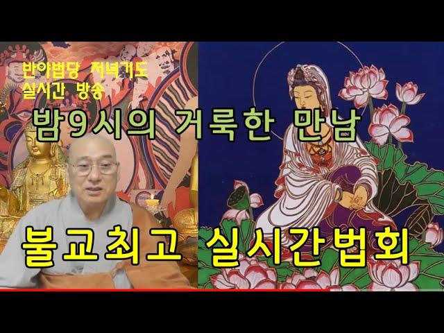 비대면 실시간기도의 정석 / 금우스님의 기도와 법문, 축원과 소통이 함께하는 명품기도법회