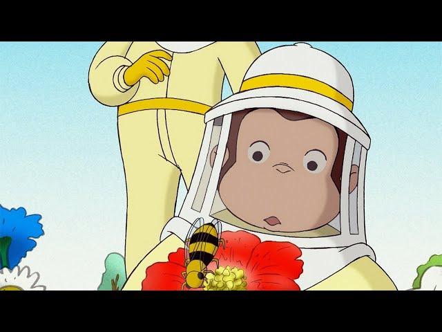 Curious George  1 Hour Compilation  English Full Episode  Videos For Kids