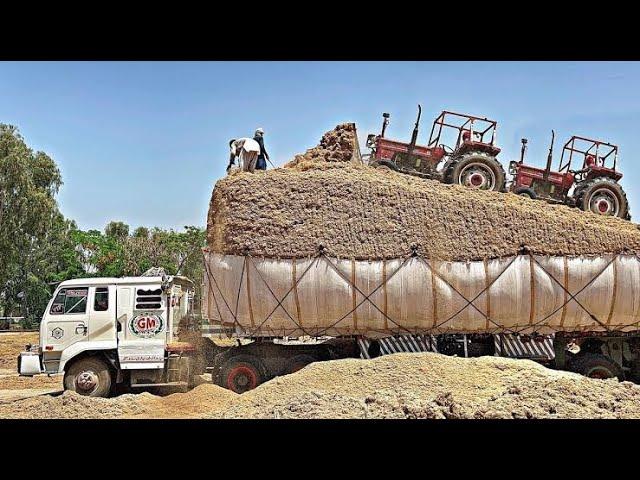 Check The Skill of Loading Sugarcane Bagasse Pk Technology