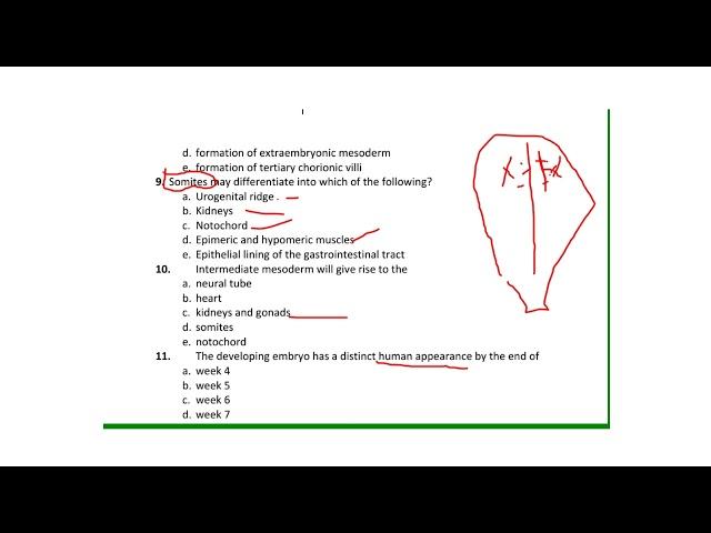 General Embryology MCQ