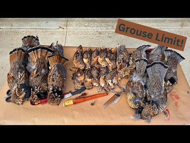 October Grouse And Woodcock 1 | First Ever Limit Of Grouse!