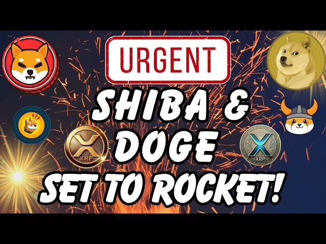 URGENT!  Shiba Inu Coin Price Prediction! Dogecoin To Make Millionaires 2025!