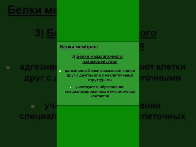 Белки мембран