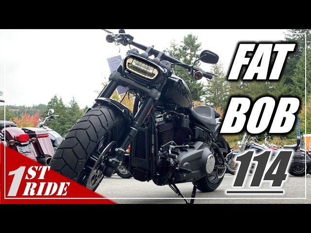 2021 Harley Softail Fat Bob 114 Review - One Bike to Rule 'em All.
