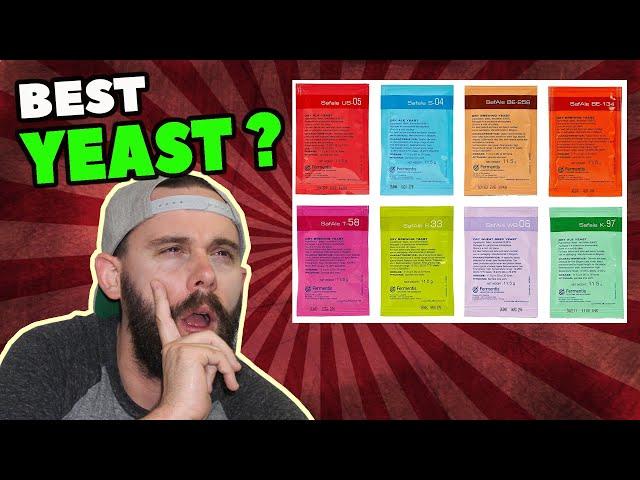 WHAT'S THE BEST YEAST??? | Homebrewing