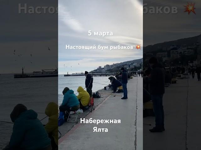 5 марта.Бум рыбаков#ялта#ялтакрым#крым#крым#крымялта#рыбалка#рыбаки#отдыхвялте#отдыхвкрыму#жилье