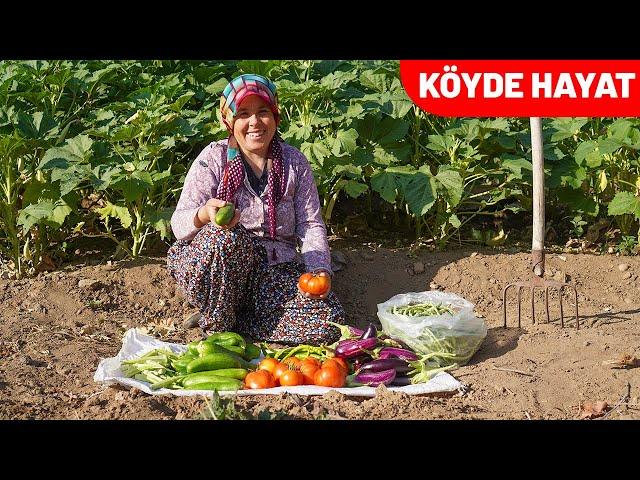 TEZEMİN ORMANIN İÇİNDEKİ SEBZE BAHÇESİNDEN MAHSÜL TOPLADIK | KÖYDE HAYAT | KÖYDE YAŞAM | KÖY HAYATI