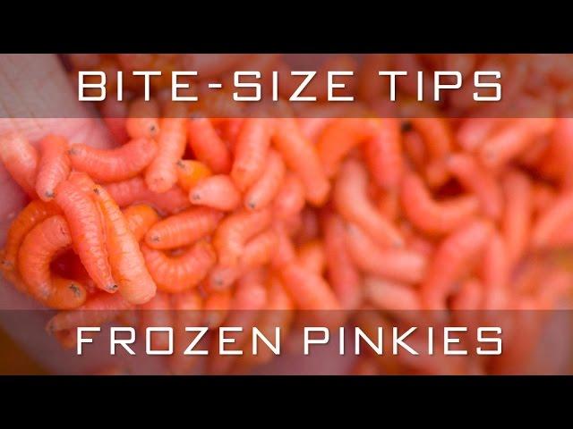 Bite-Size Tips: Frozen Pinkies