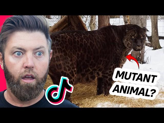 Wildlife Expert Reacts To Viral Animal TikToks