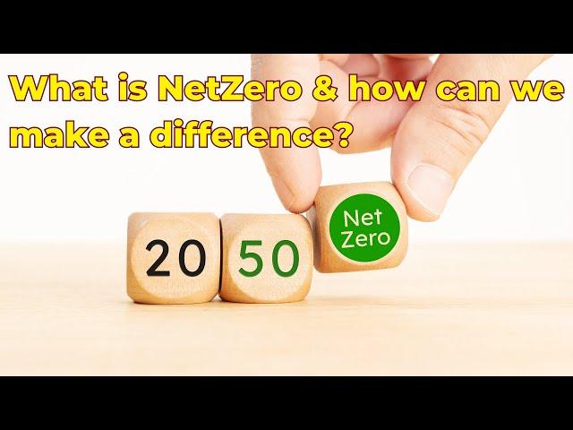 What is Net Zero & how can we make a difference?