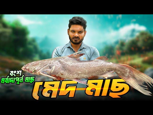 অনেক দিন পরে মেদ মাছের দেখা পেলাম আমরা  | Most Tasty Sea Fish | Adventure BD