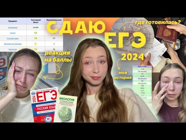 КАК Я СДАВАЛА ЕГЭ🫠| реакция на баллы | подготовка | советы