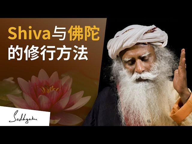 Shiva与佛陀的修行方法 | Sadhguru 萨古鲁