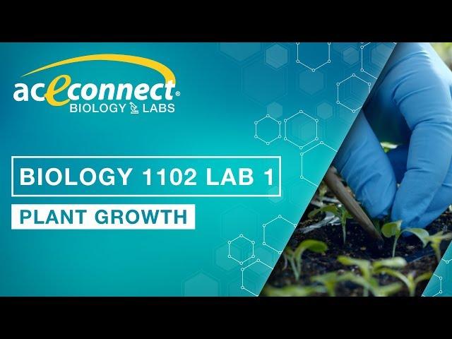 Biology Lab || Plant Growth