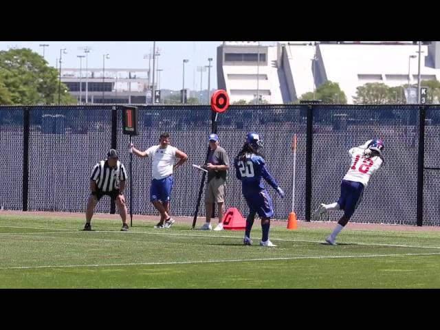 Giants WR Geremy Davis makes sick TD catch