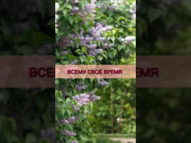 Летний топ для дочки#рукодельница #вязаниебезграниц #любовь #knitting #вязание #схемывязанияспицами