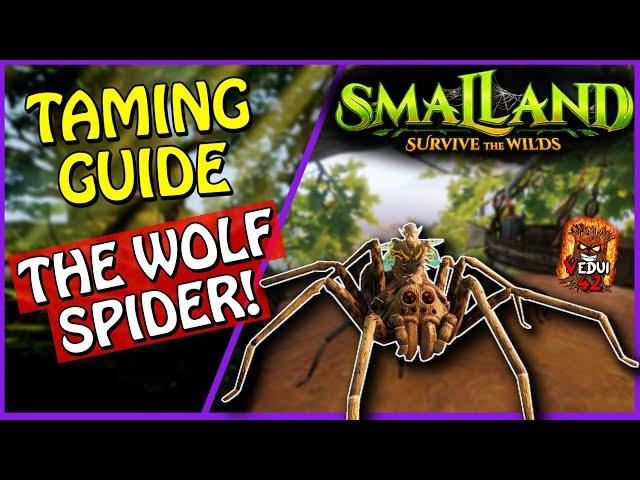 How to TAME the WOLF SPIDER in Smalland!