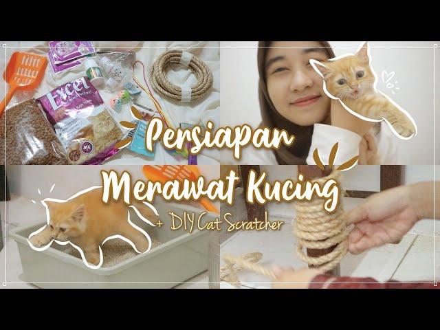 SHOPEE HAUL PERLENGKAPAN KUCING KITTEN +DIY Garukan Kucing