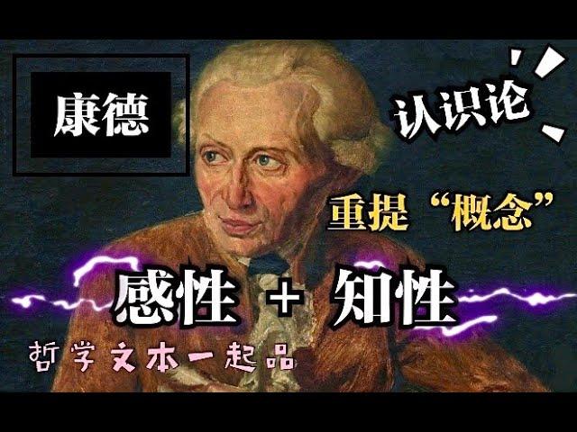 【哲学文本一起品】 Ep 006 纯粹理性批判（六）康德认知体系：人，猫猫，西部世界的接待员有什么不同