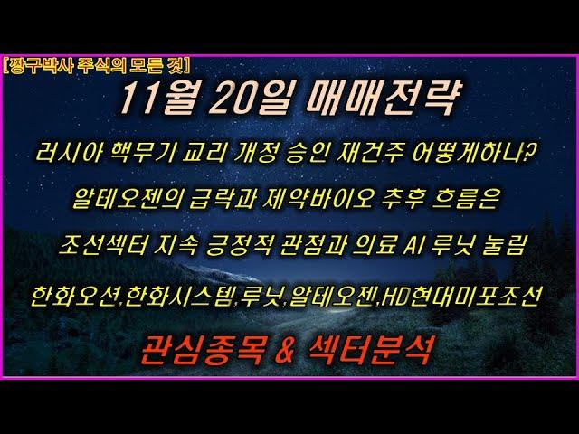 11월20월 알테오젠,루닛,한화오션,HD현대중공업,HD현대미포조선,아주IB투자,삼성전자,바이오다인,SK바이오팜,한올바이오파마,한화시스템