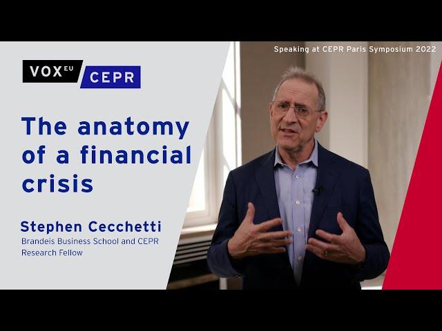 The anatomy of a financial crisis