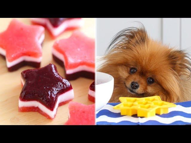 DIY Candy for Dogs(!!) | 4th of July Stars and Stripes Gummies | Homemade Dog Treats | DIY Dog Treat