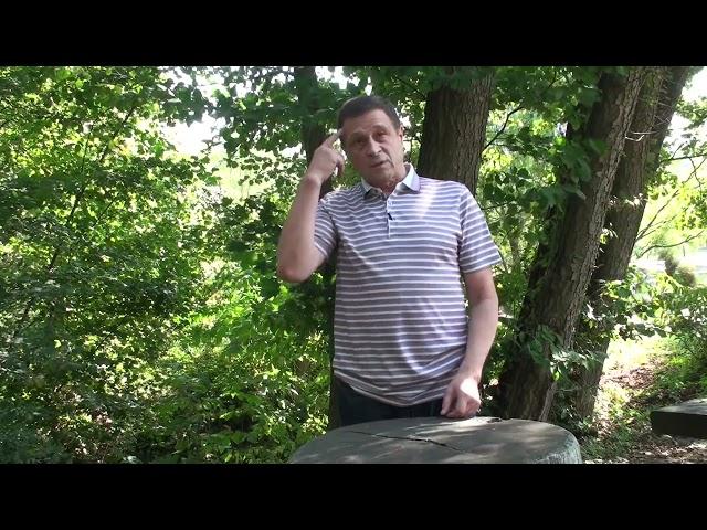 Как устранить чувство голода?  Александр Ворошилов