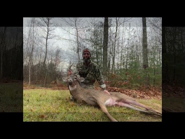 Another Bow Kill