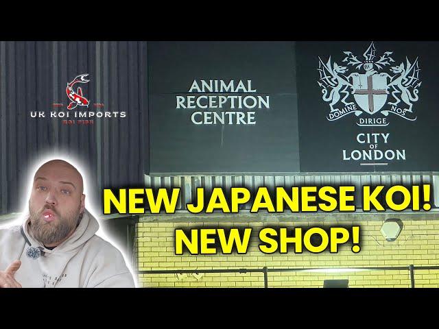 Unboxing Japanese Koi & A Sneak Peek at Our New Koi Shop Build - UK Koi Imports