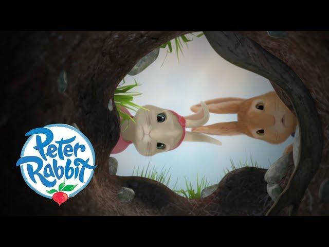 Peter Rabbit - The Disappearance of Benjamin | Cartoons for Kids