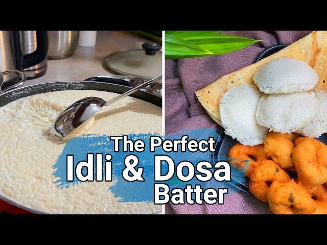 How to make the perfect IDLI DOSA BATTER/ Coconut chutney/ Sambar/ Ulundhu vadai/Naveena's Tiny Tips