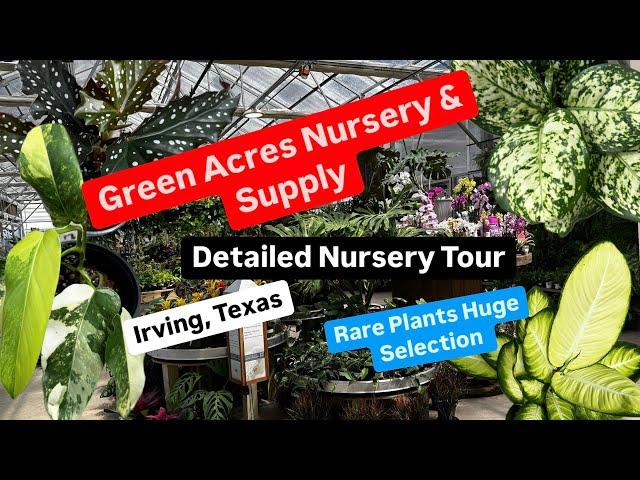 Big Box Store Plant Shopping Alternative Shop Green Acres Nursery and Supply Irving Texas Rare Plant