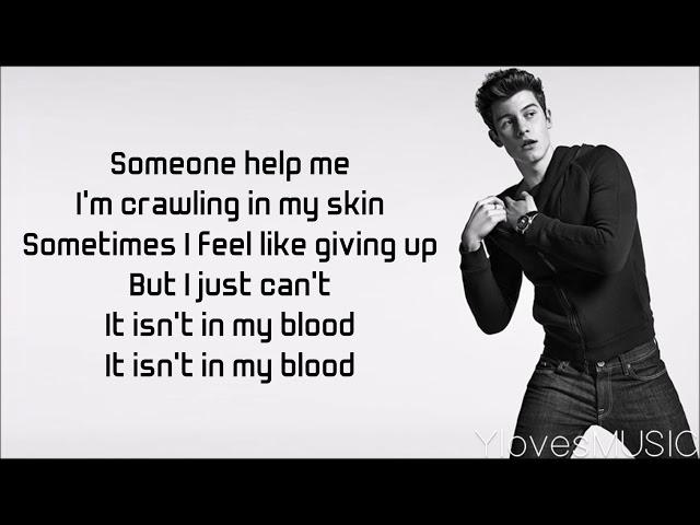 Shawn Mendes - In My Blood (Lyrics)