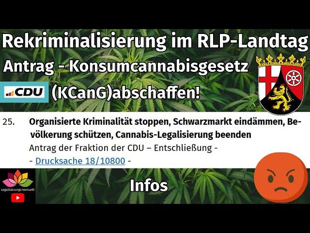 CDU für Aussetzung KCanG im Landtag Rheinland-Pfalz / Cannabis Rekriminalisierung gefordert! Infos